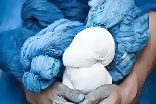 color fastness color fastness