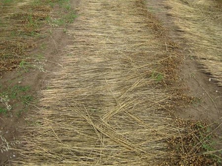 productcate-450-338 productcate-450-338